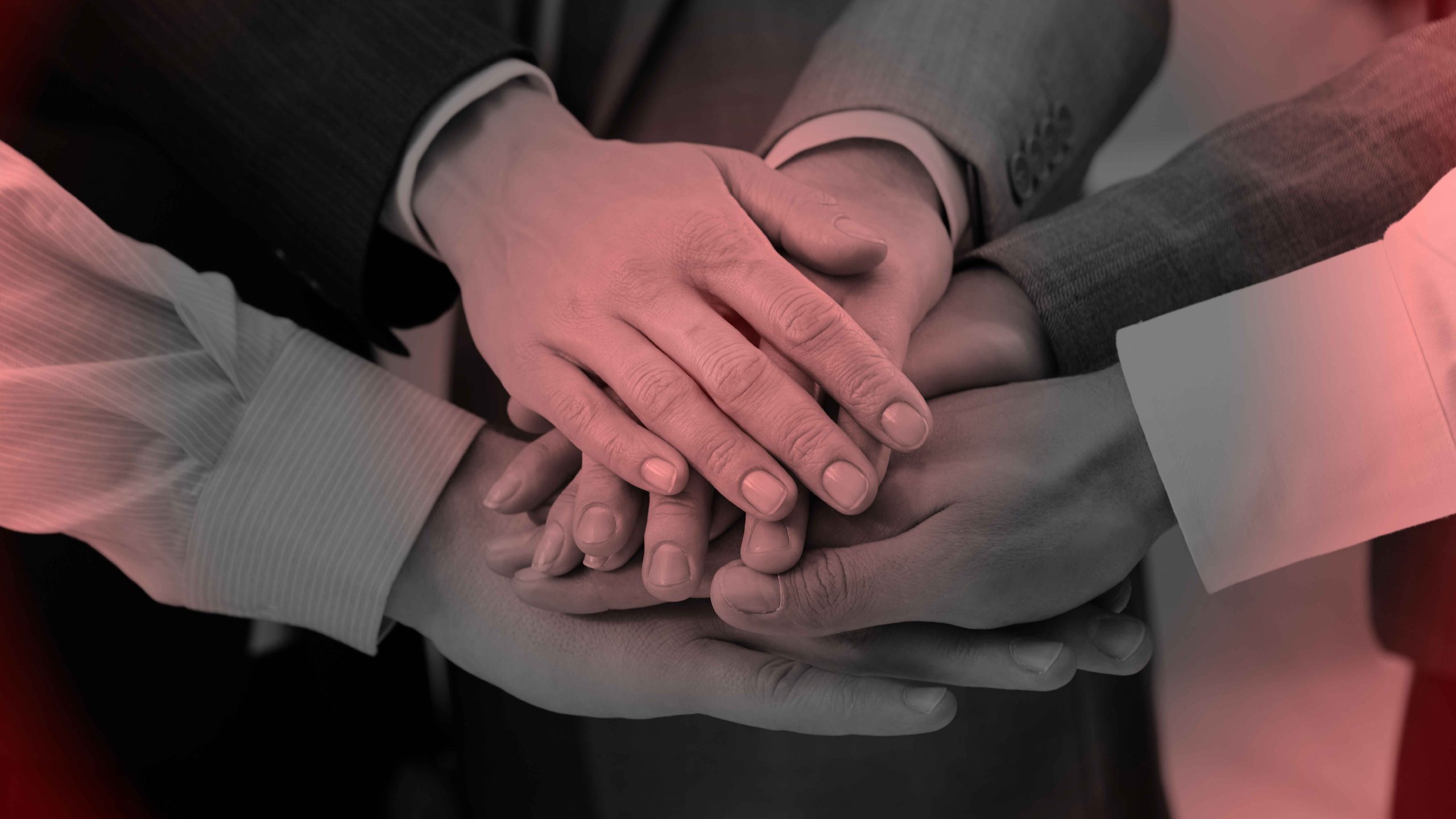 Taurus Collections professional ethics
