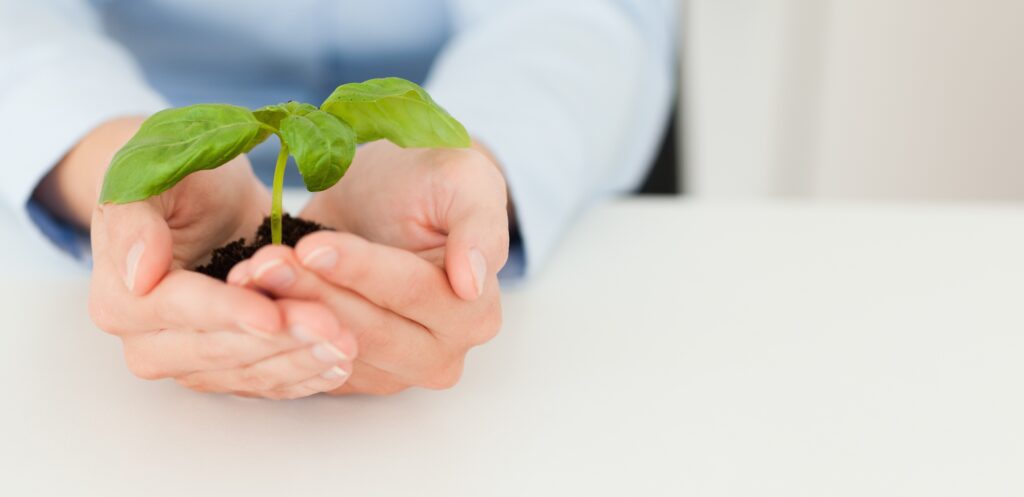 Green-shoots-in-hand